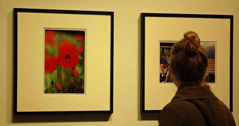 Ausstellung William Eggleston