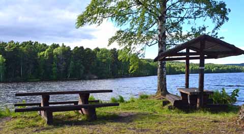 Die skandinavische Campingkarte
